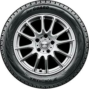 ICEGUARD IG53 TIRES tire